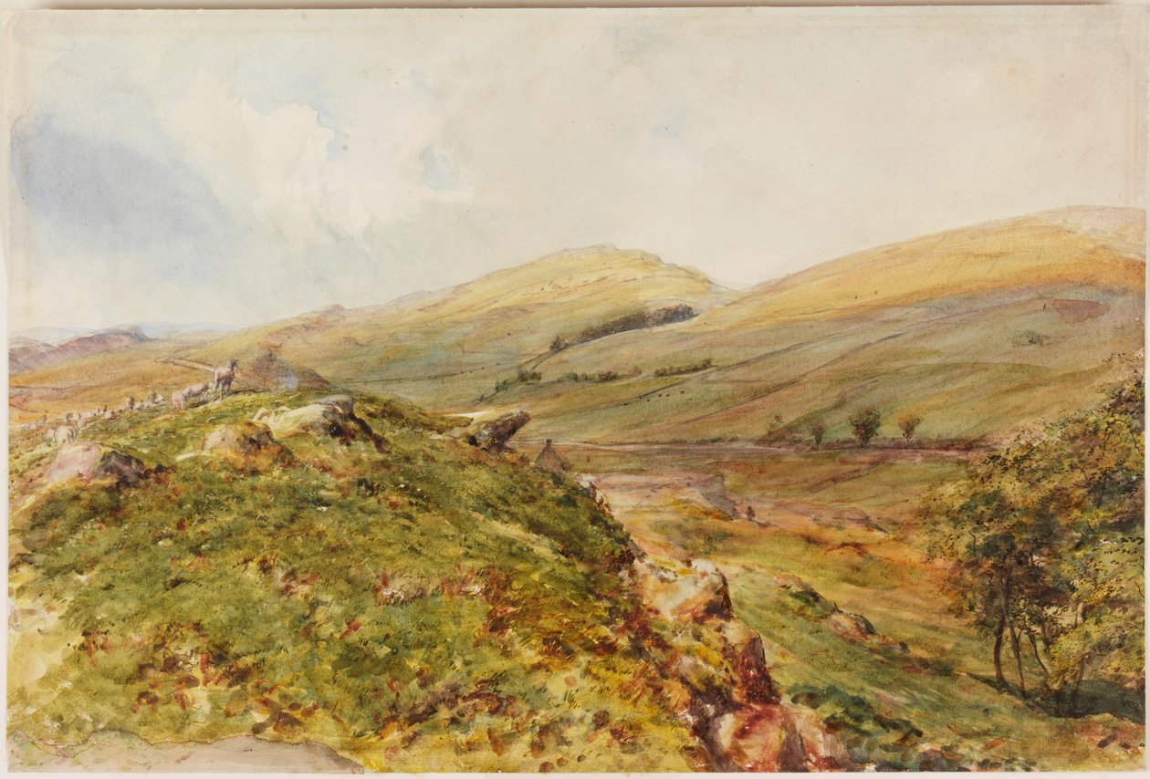 Cockmount Hill - Henry Burdon Richardson