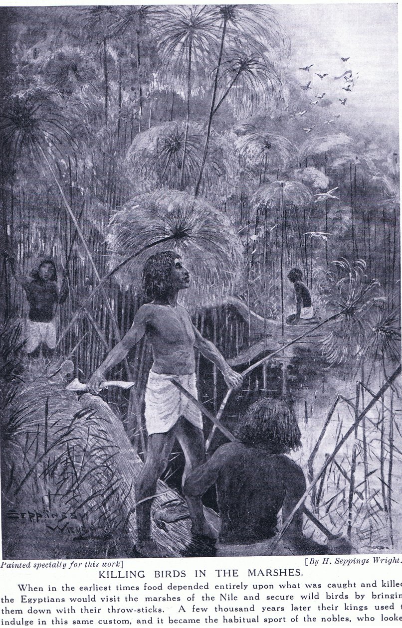 Chasse aux oiseaux dans les marais, c.1920 - Henry Charles Seppings Wright