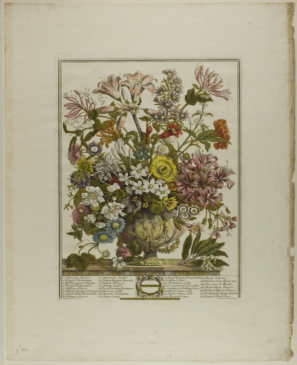 Octobre, des Douze Mois de Fleurs - Henry Fletcher