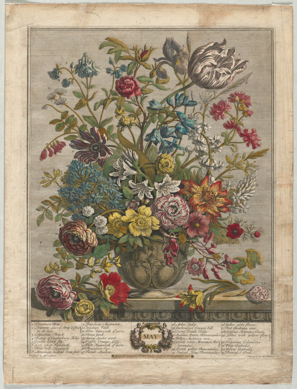 Les Douze Mois de Fleurs : Mai, 1730 - Henry Fletcher