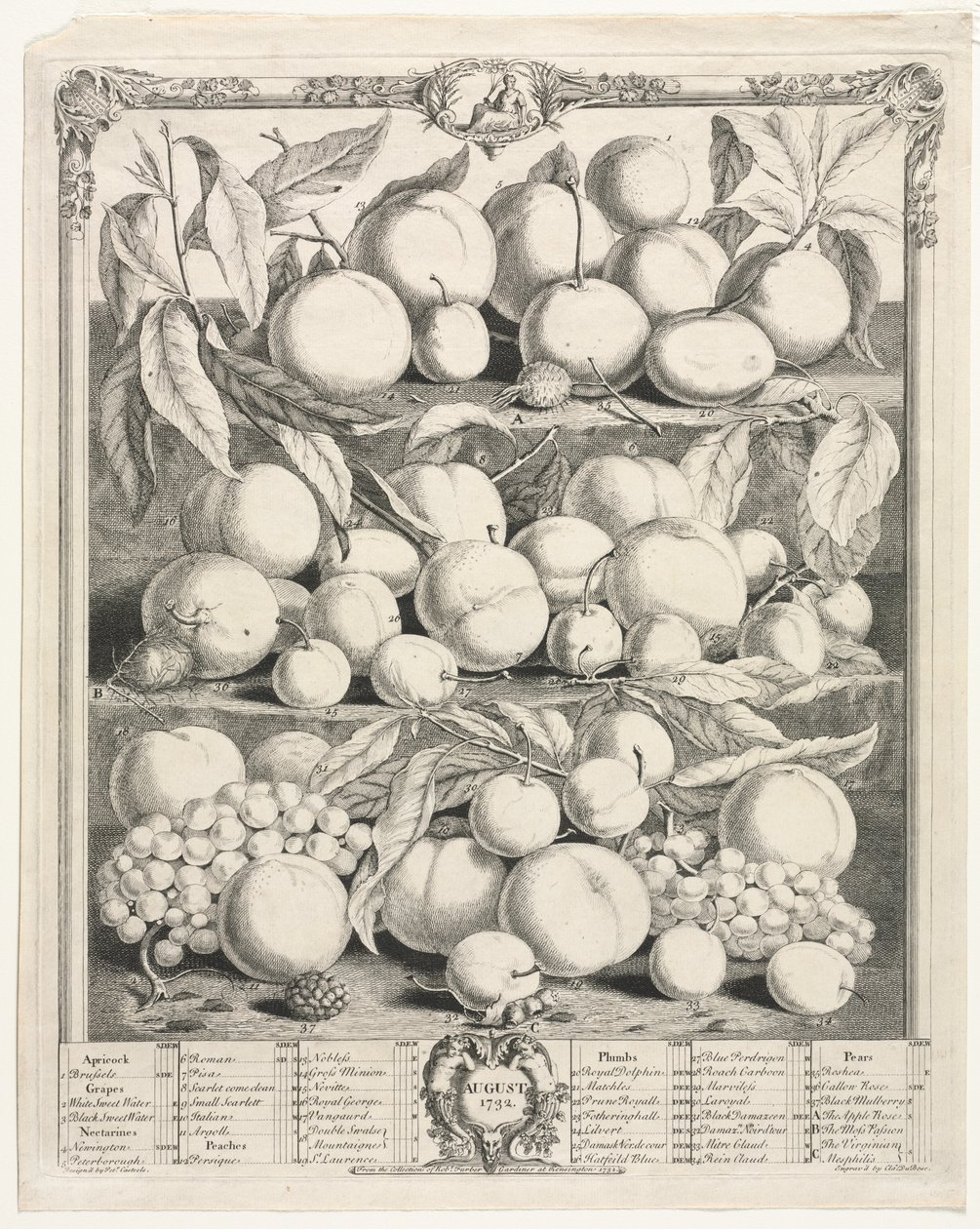 Douze mois de fruits : Août - Henry Fletcher