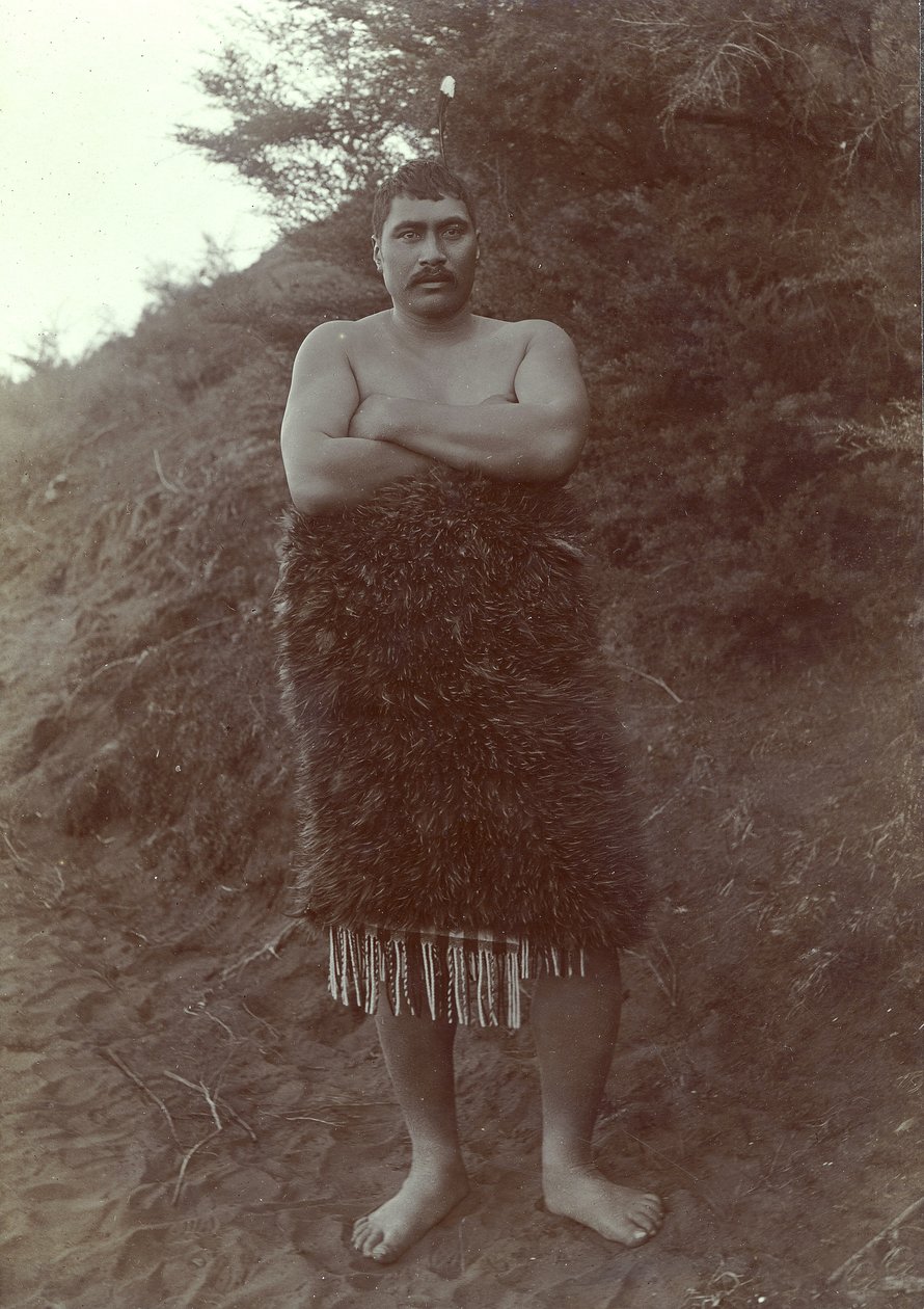 Étude maorie, vers 1910 (tirage à la gélatine argentique) - Henry Gaze