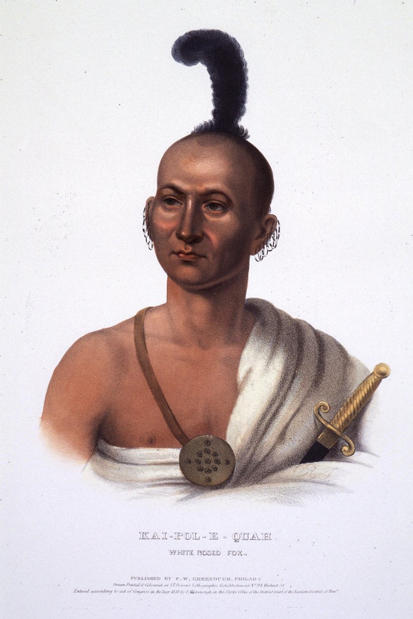 Kai-Pol-E-Quah, renard au nez blanc - Henry Inman