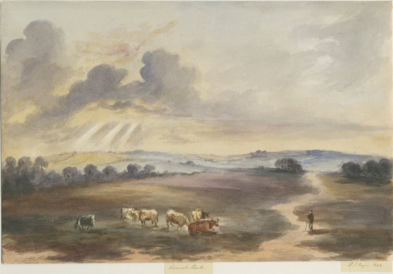 Cannock Chase - "Heath" : peinture à l