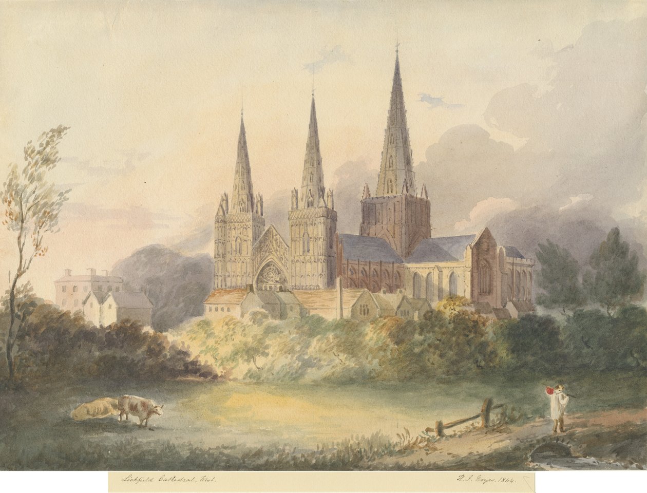 Cathédrale de Lichfield - Vue ouest - Henry James Noyes