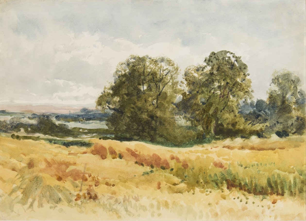 Champ de moisson, vers 1910 - Henry John Sylvester Stannard