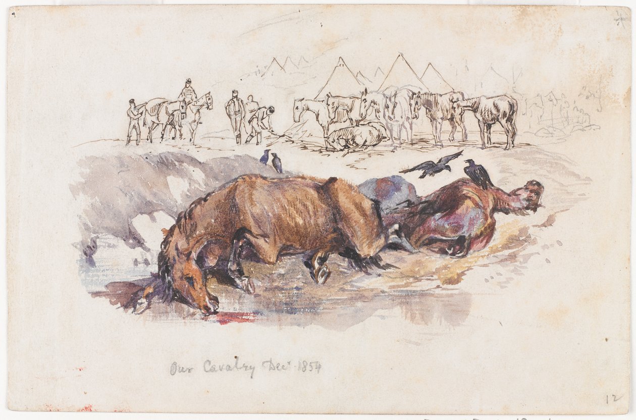 Notre cavalerie, chevaux morts - Henry John Wilkinson