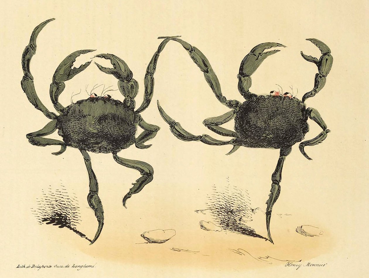 Danse Fantastique de La Caricature, pub. 1831 lithographie, 1831 - Henry Monnier