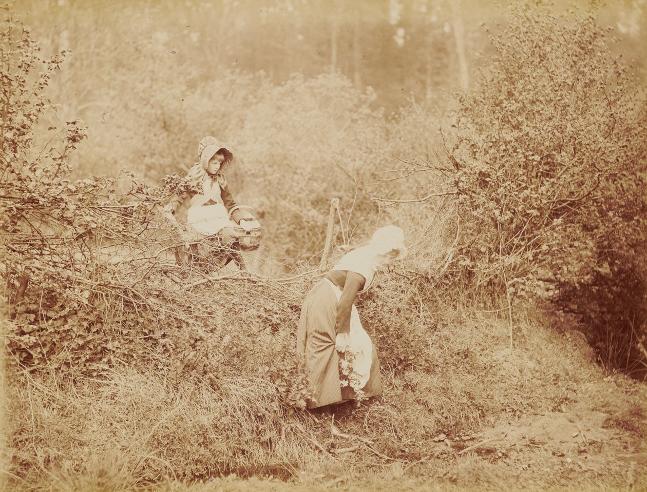 Par-dessus haie et fossé - Henry Peach Robinson
