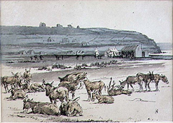 Ânes sur le parcours de golf, illustration du magazine 