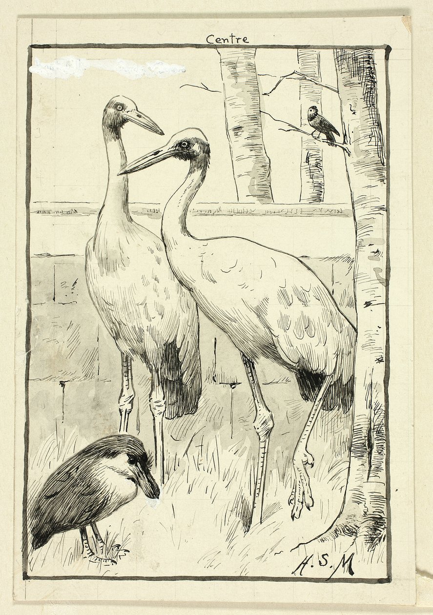 Quatre oiseaux dans un paysage - Henry Stacy Marks