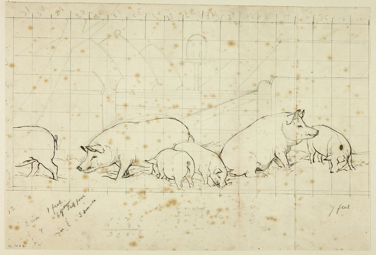 Porcs - Henry Stacy Marks