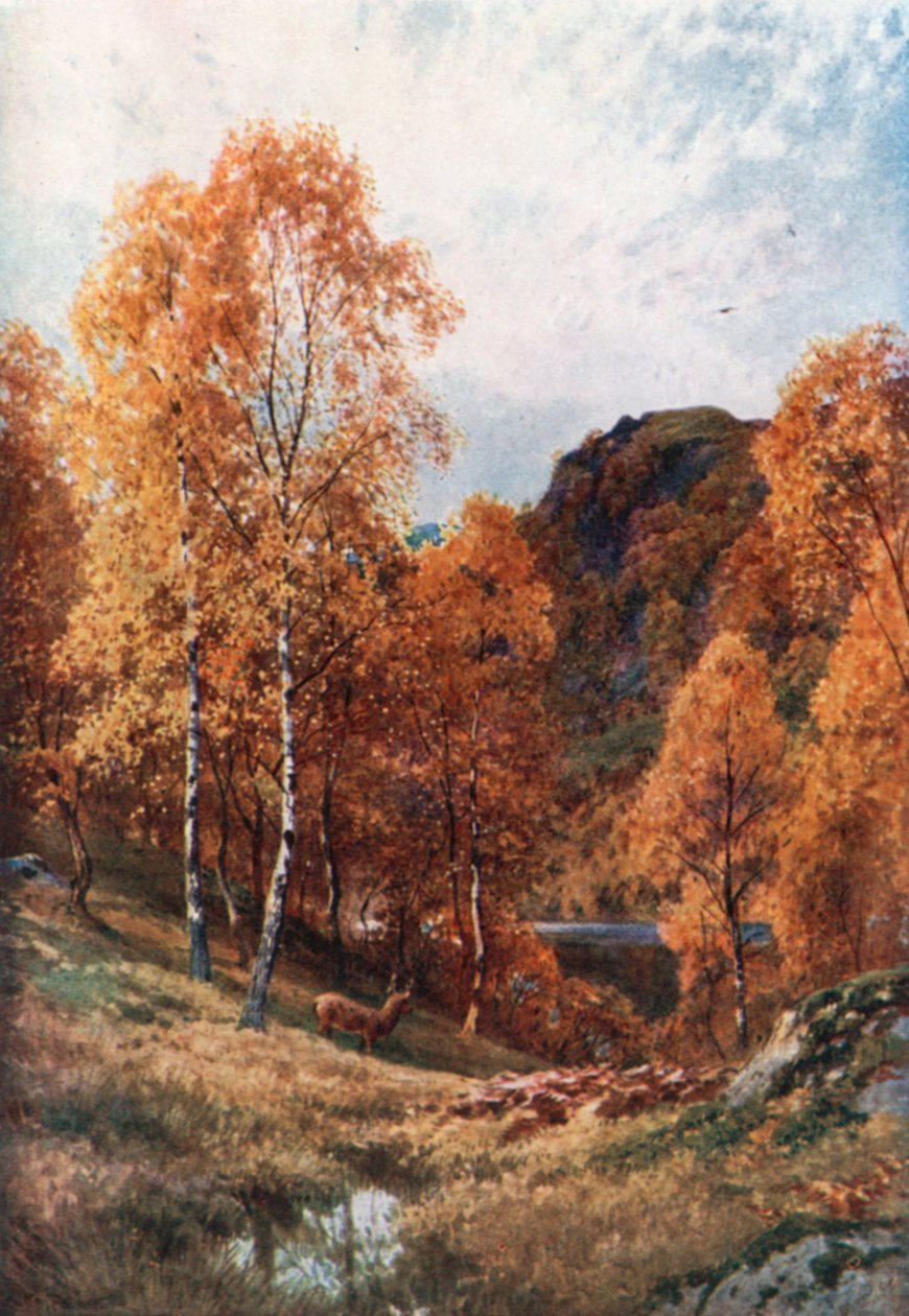 Automne doré, les Trossachs, Perthshire (lithographie couleur) - Henry Sutton Palmer