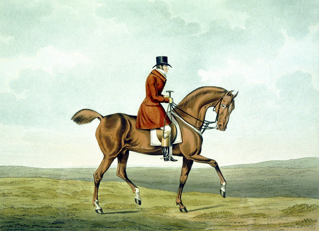 Un Meltonian tel qu