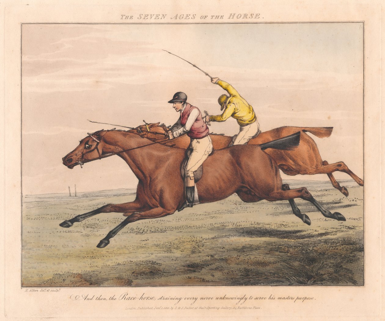 Série de sept : Les sept âges du cheval - Henry Thomas Alken