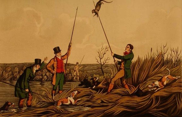 `Harponnage de la loutre