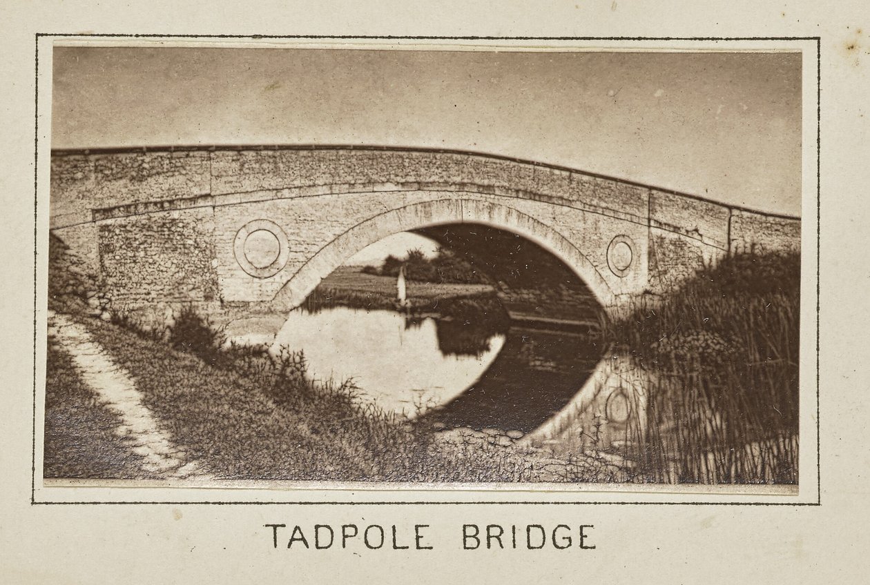 Pont Tadpole - Henry W. Taunt
