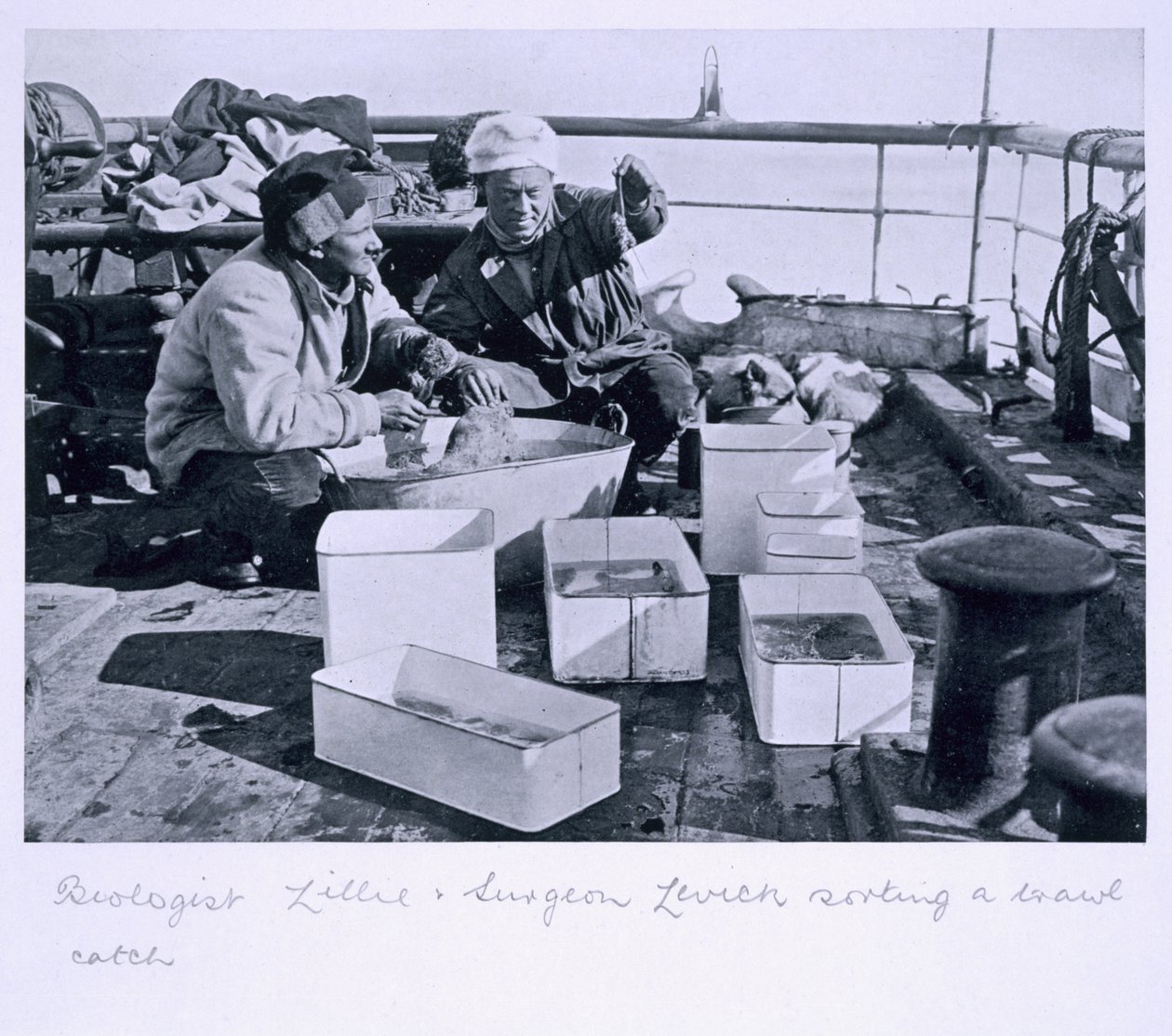 Le Biologiste Lillie et le Chirurgien Levick triant une prise de chalut à bord du 