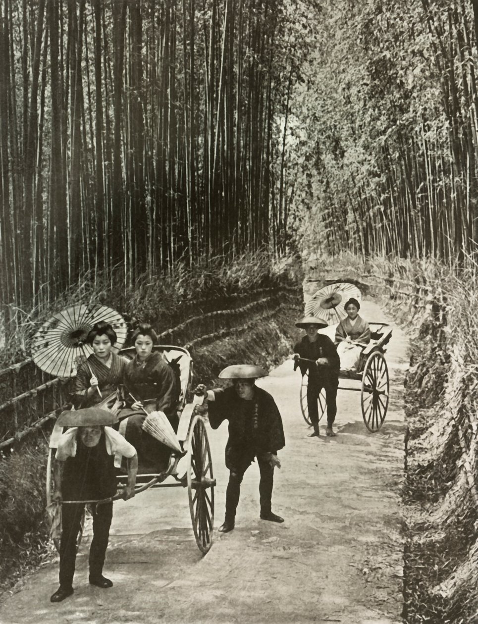 Une avenue de bambous à Kyoto, 1910 - Herbert Ponting