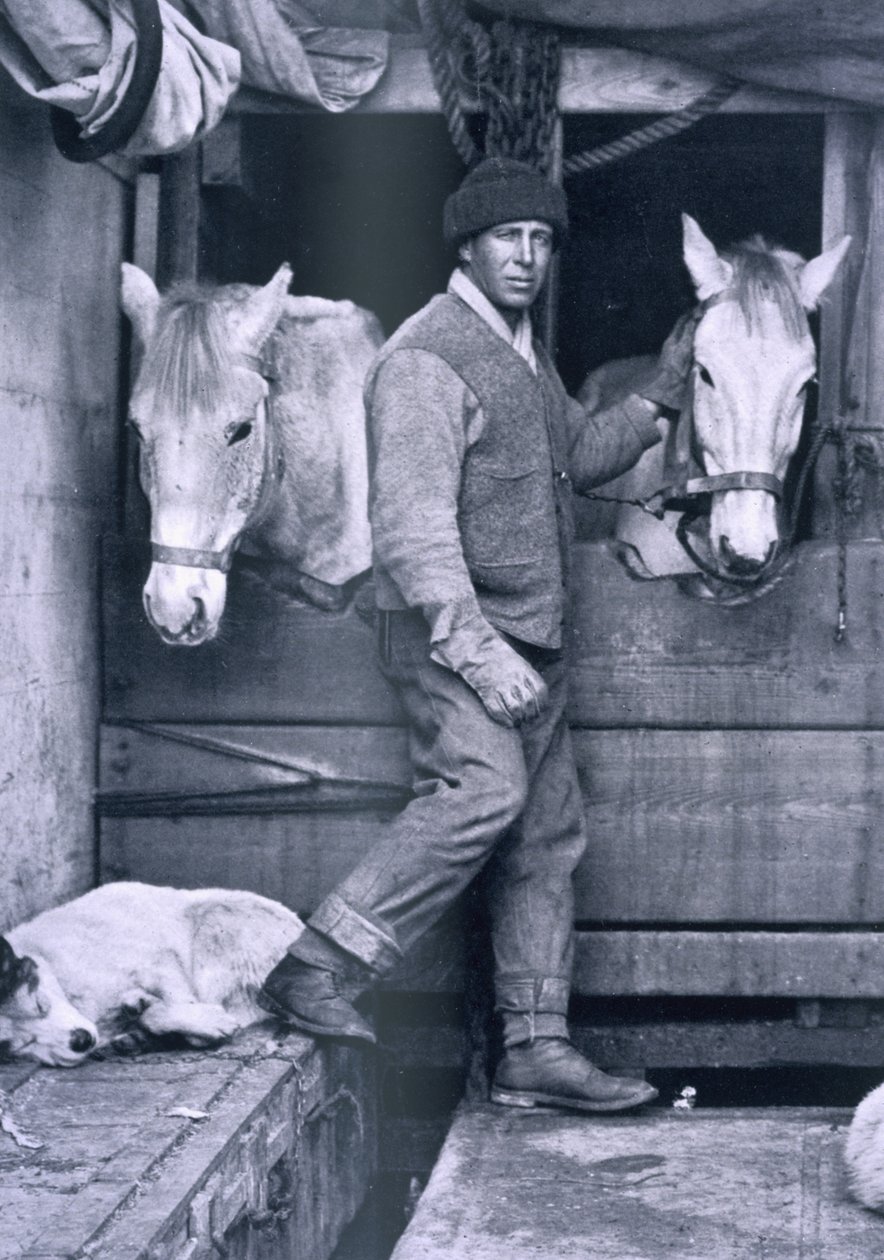 Capt. Oates et deux des poneys sur le Terra Nova, de 