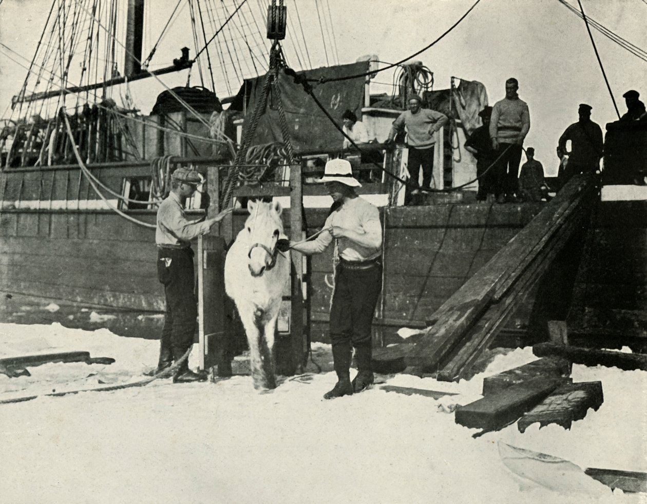 Débarquement des poneys, vers 1910-1913, 1913 - Herbert Ponting