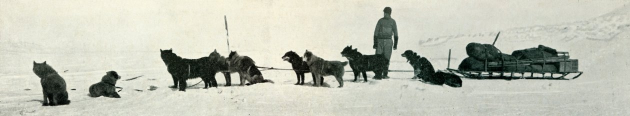 Chiens avec des provisions sur le point de quitter Hut Point, vers 1911, 1913 - Herbert Ponting