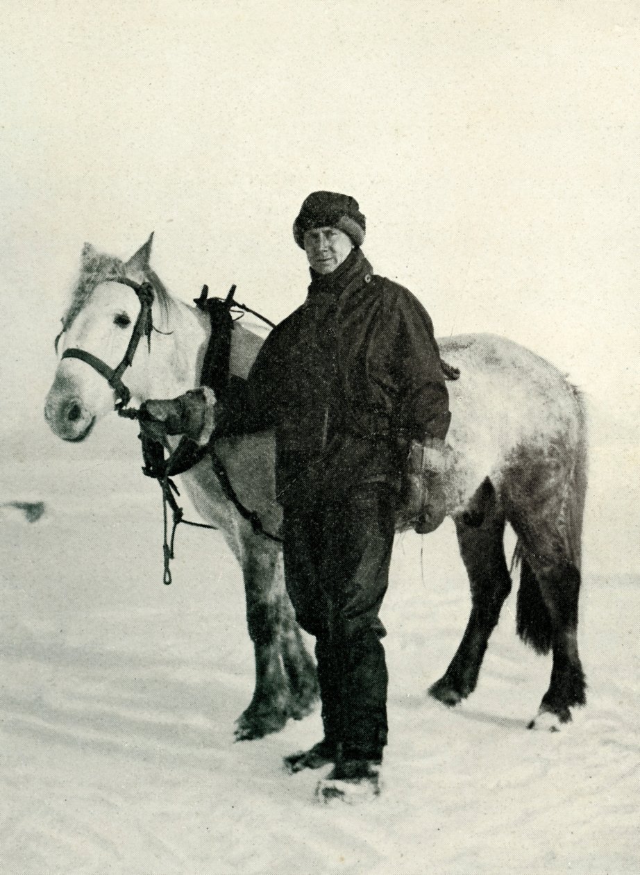 Dr. Wilson et le poney Nobby, vers 1911, 1913 - Herbert Ponting