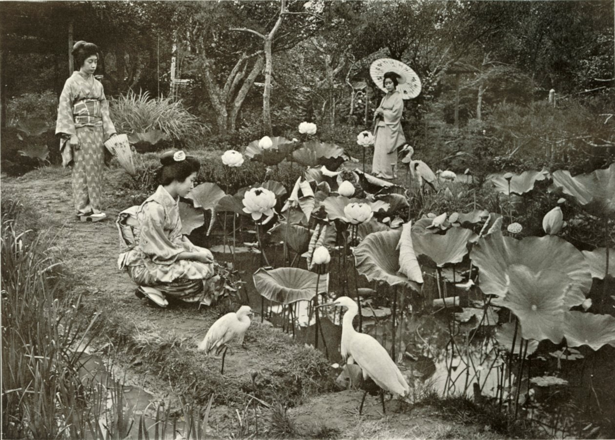 Au pays des lotus, 1910 - Herbert Ponting