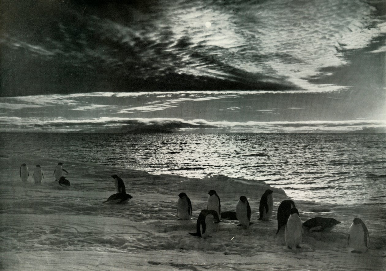 Le soleil de minuit dans le détroit de McMurdo - Herbert Ponting