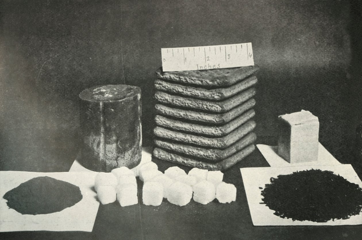 Ration de traîneau de l