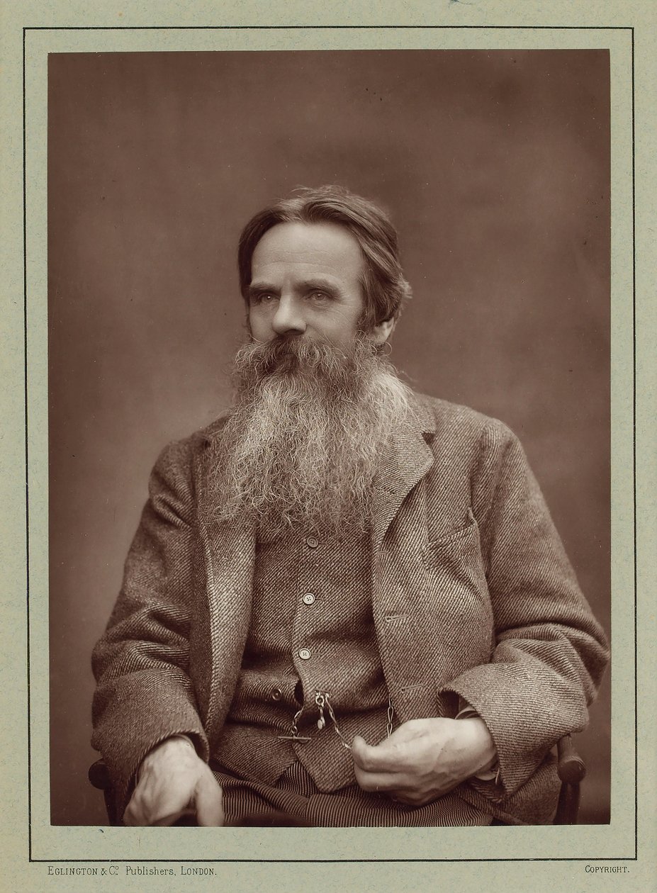 Portrait du peintre William Holman Hunt 1827-1910, vers 1885 - Herbert Rose Barraud