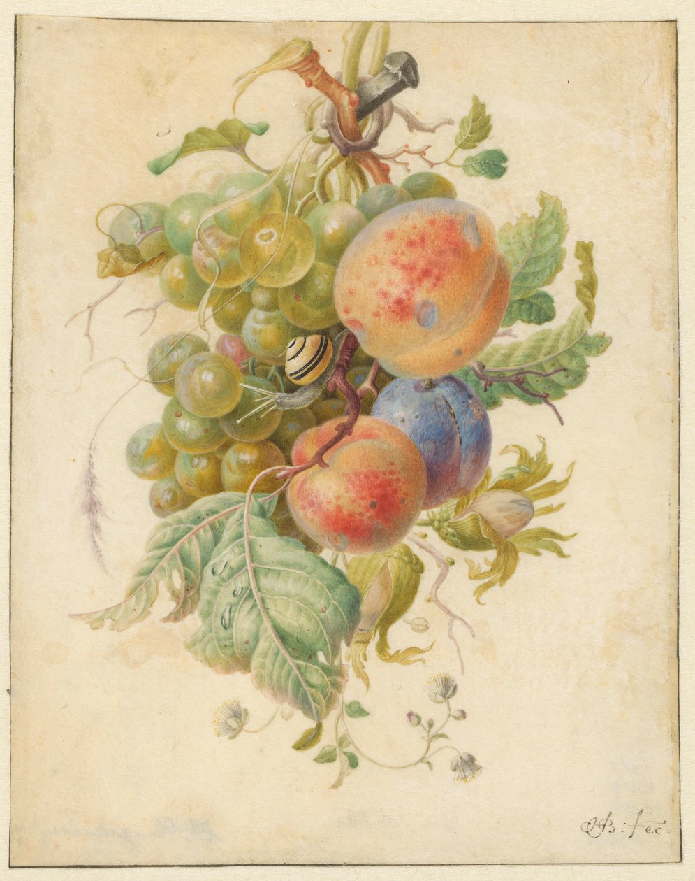 Feston de fruits - Herman Henstenburgh