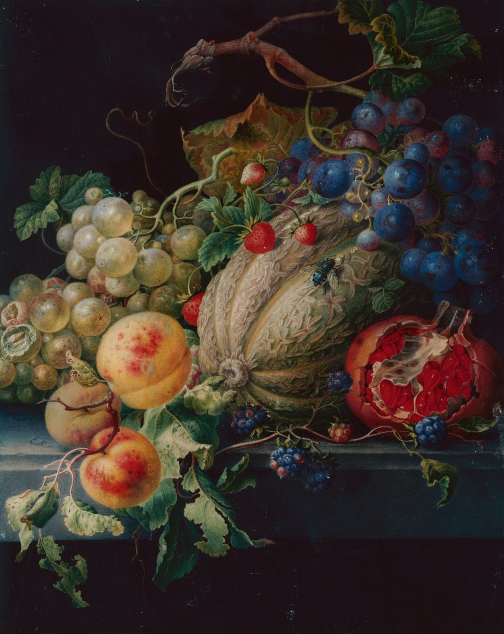 Nature morte de fruits sur un rebord de pierre - Herman Henstenburgh
