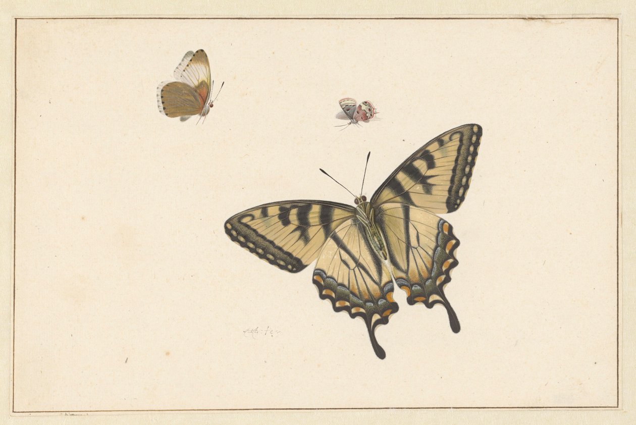 Trois papillons - Herman Henstenburgh