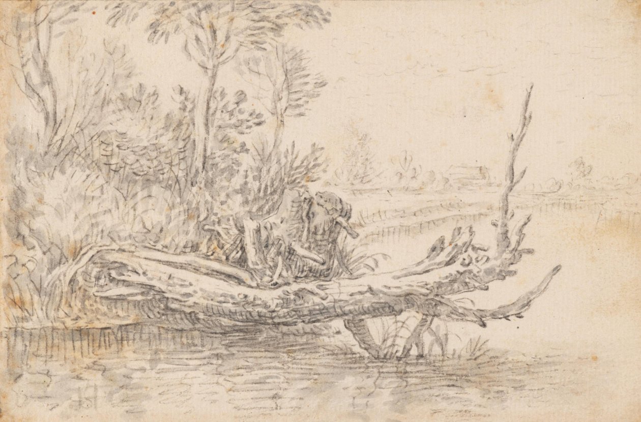 Un arbre tombé au bord de l