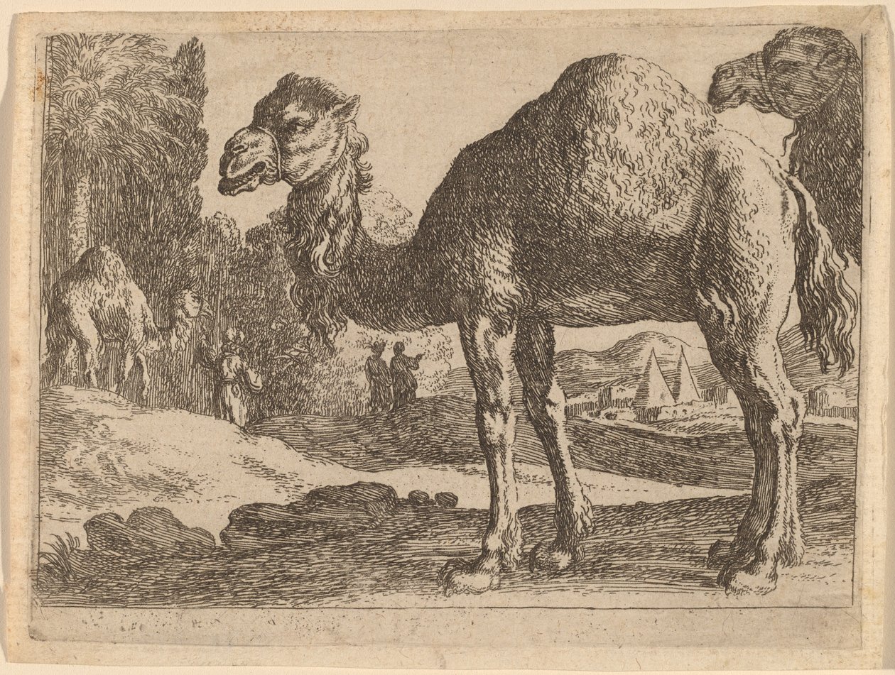 Chameaux - Herman van Swanevelt
