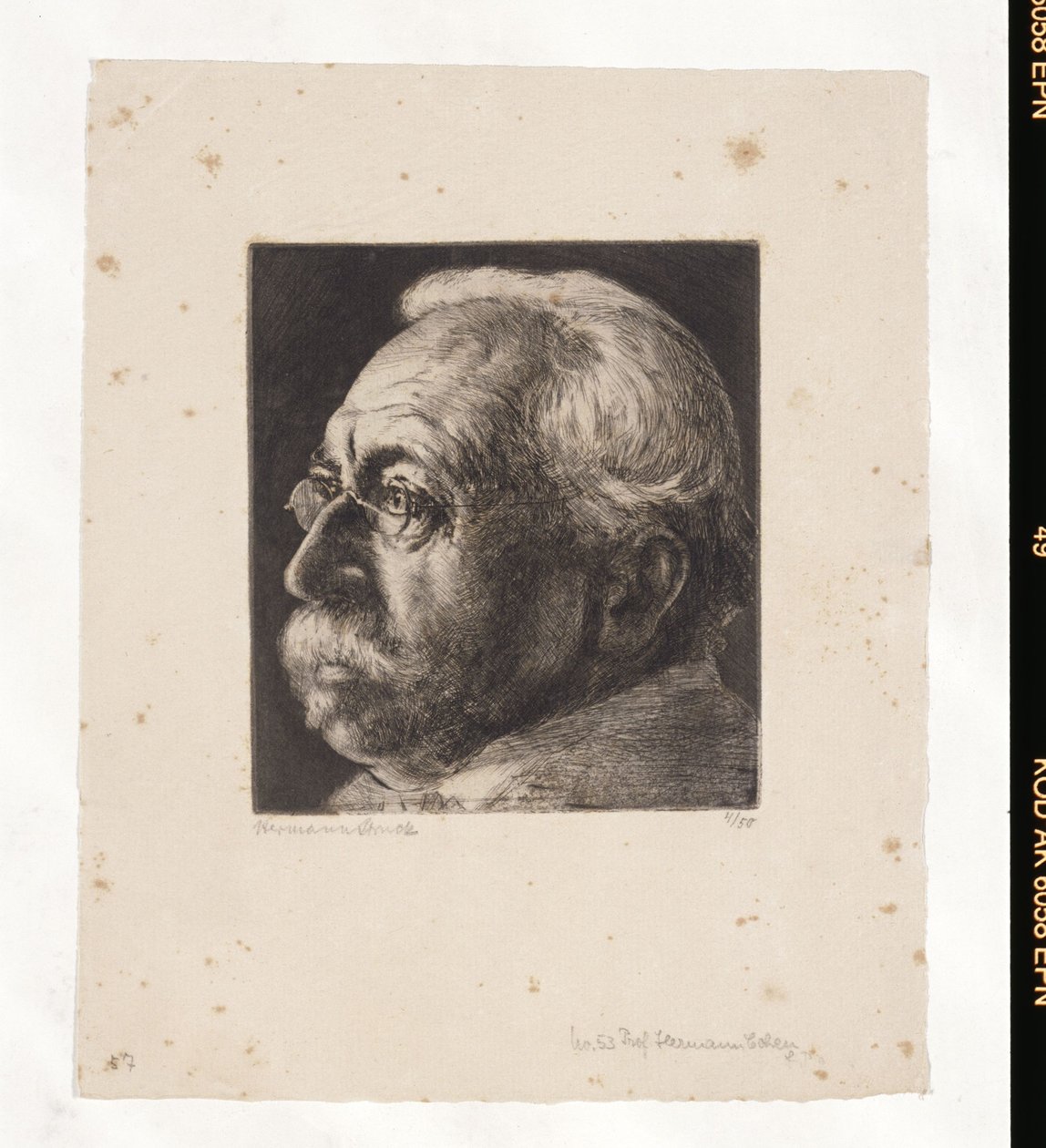 Portrait d