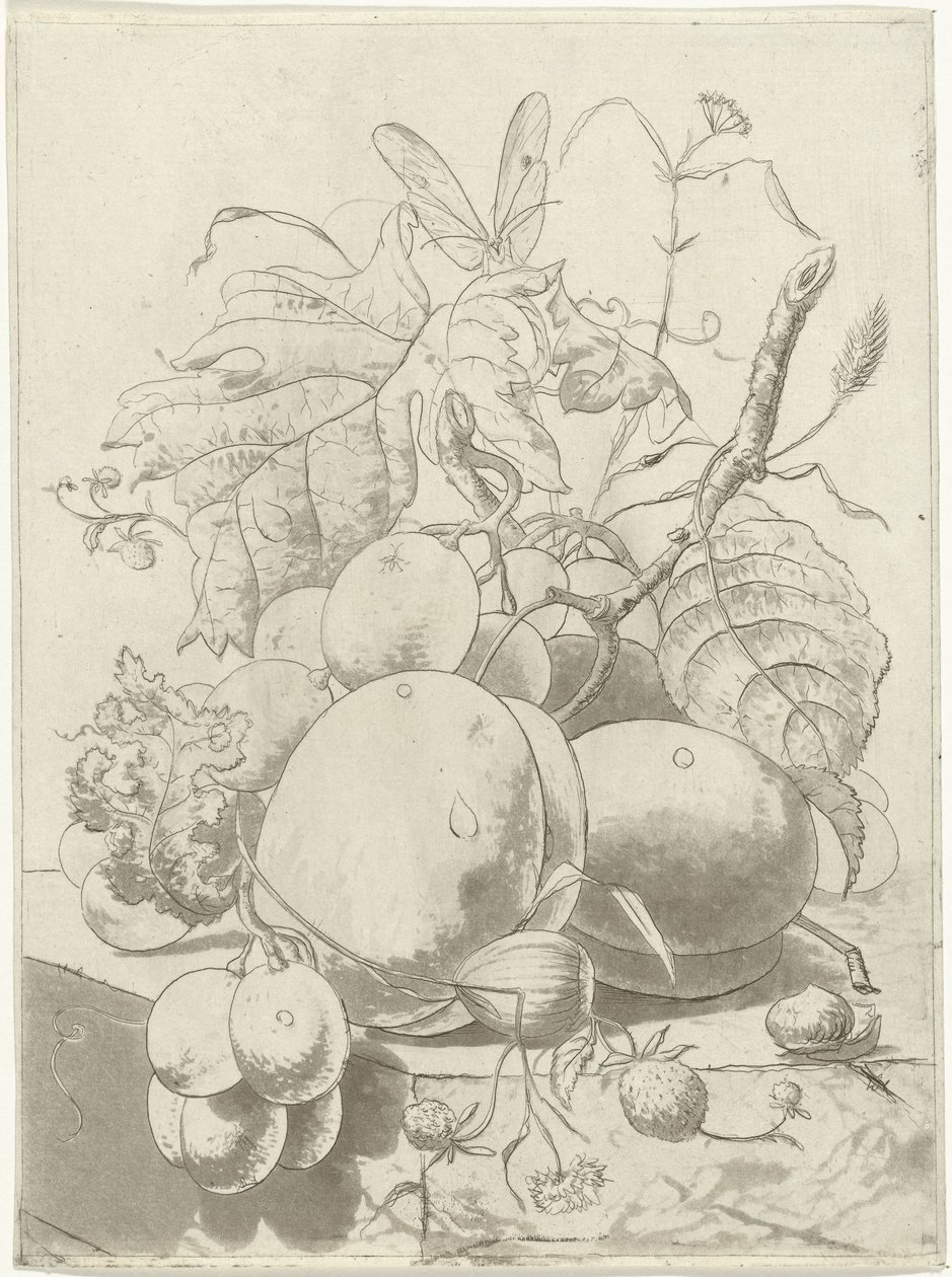 Fruits et une branche avec un papillon - Hermanus Fock
