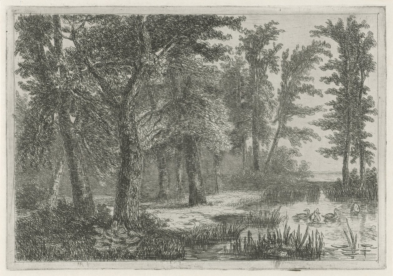 Paysage forestier avec un étang et des canards - Hermanus Jan Hendrik van Rijkelijkhuysen