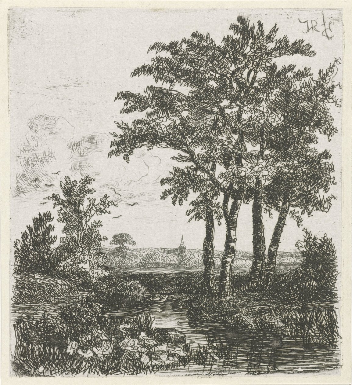 Quatre arbres au bord d
