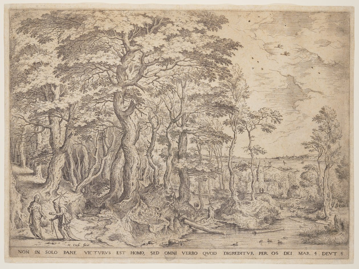 Paysage avec le Christ - Hieronymus Cock