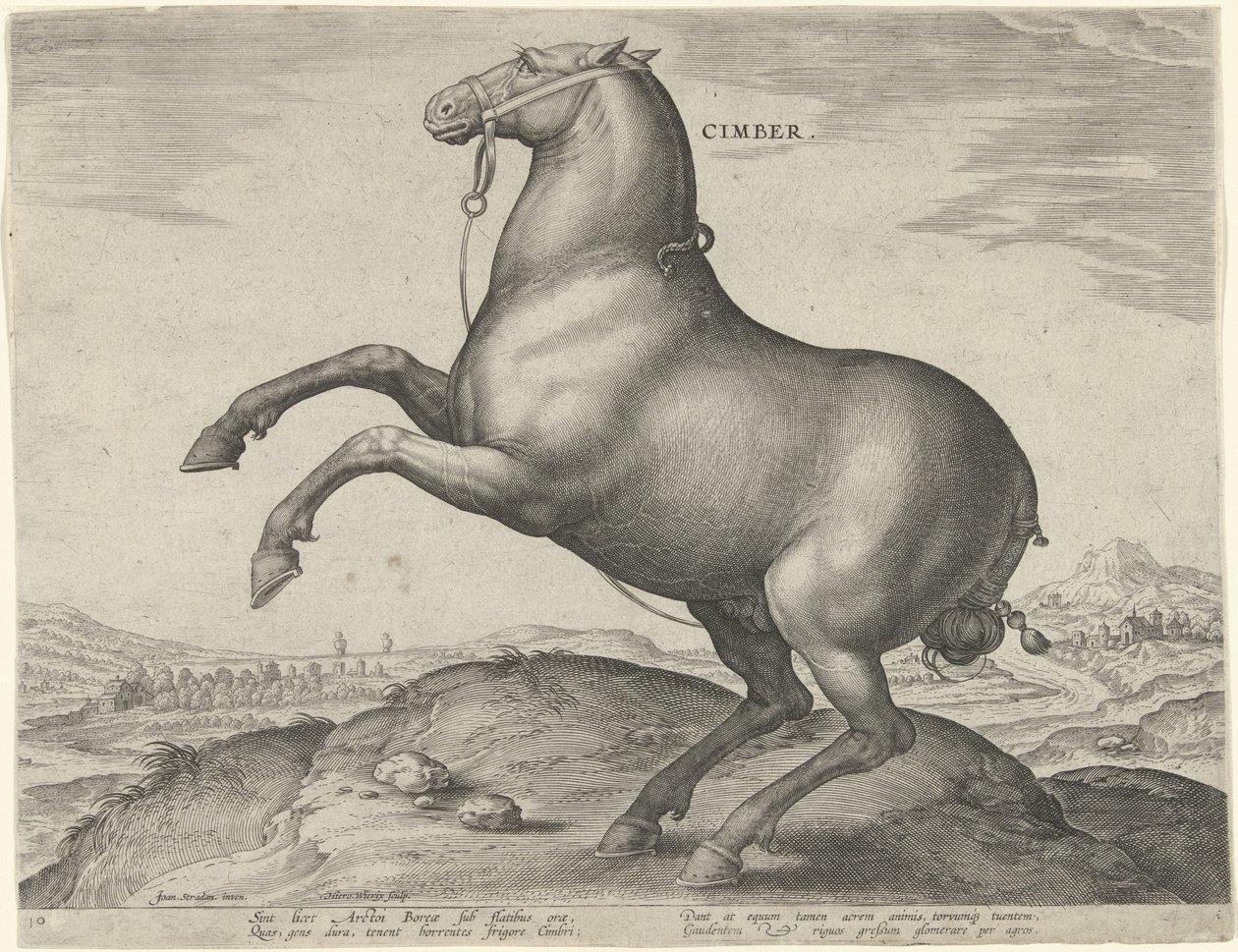 Cheval de Scythie (Cimber) (Paardenrassen uit de Koninklijke stallen van Don Juan van Oostenrijk, Equile Ioannis Austriaci Caroli) - Hieronymus Wierix