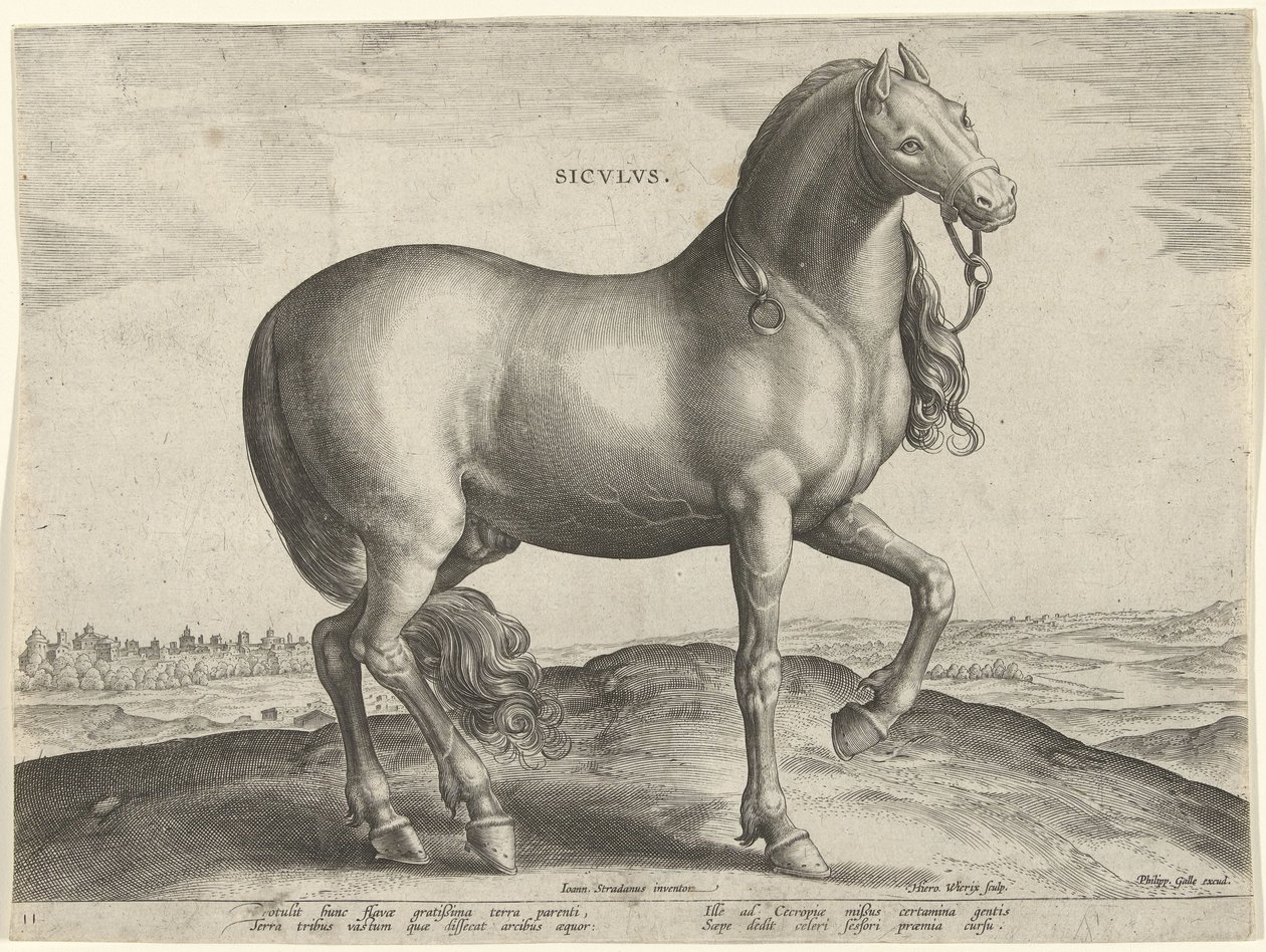 Cheval de Sicile (Siculus) - Hieronymus Wierix