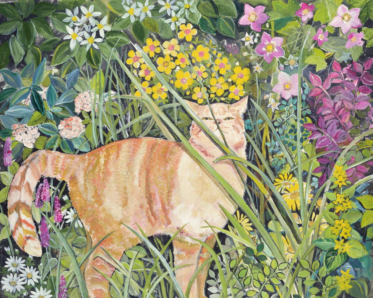 Chat et herbe haute, 1996 - Hilary Jones