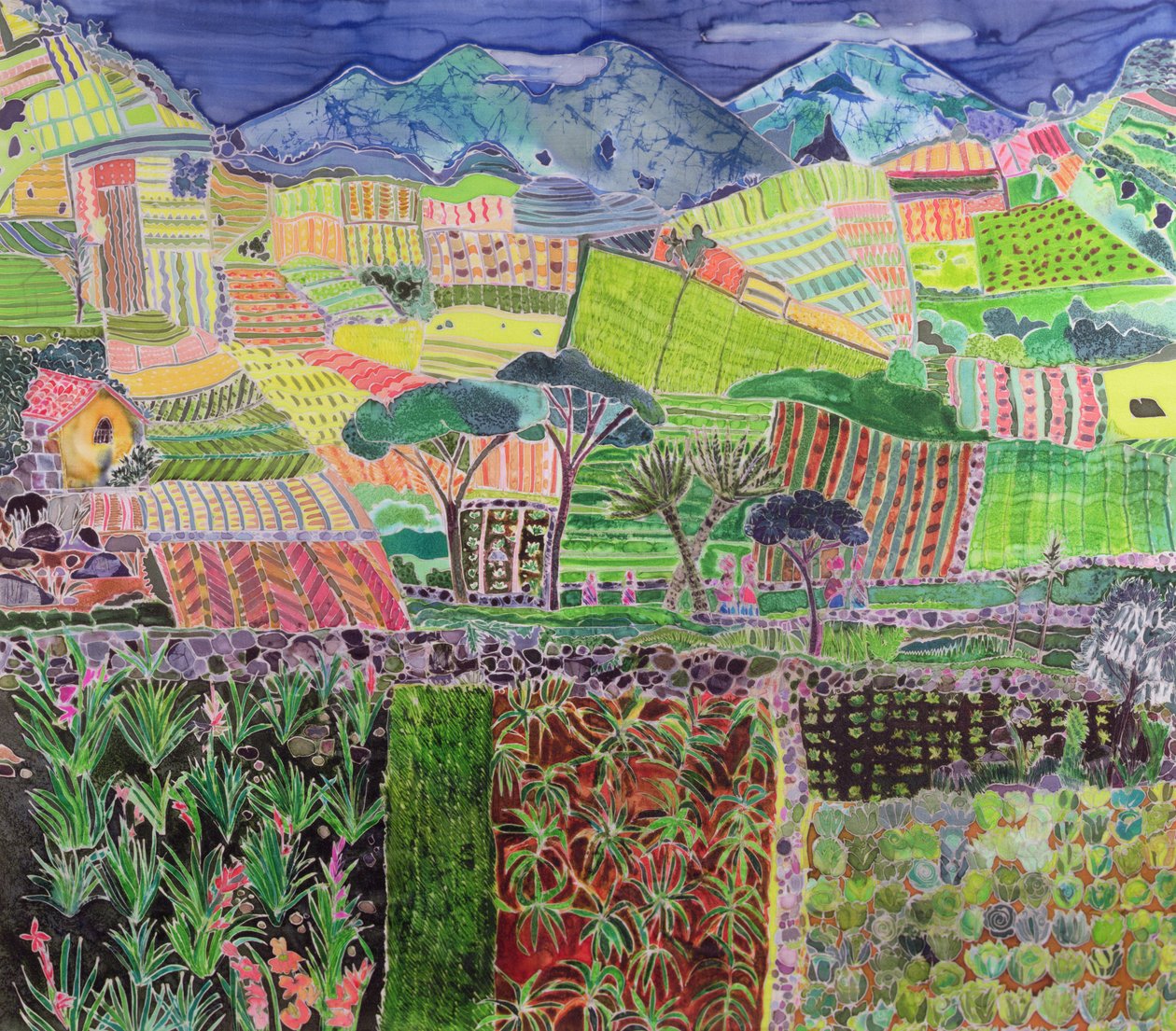 Choux et lys revisités, Guatemala, 2006 - Hilary Simon