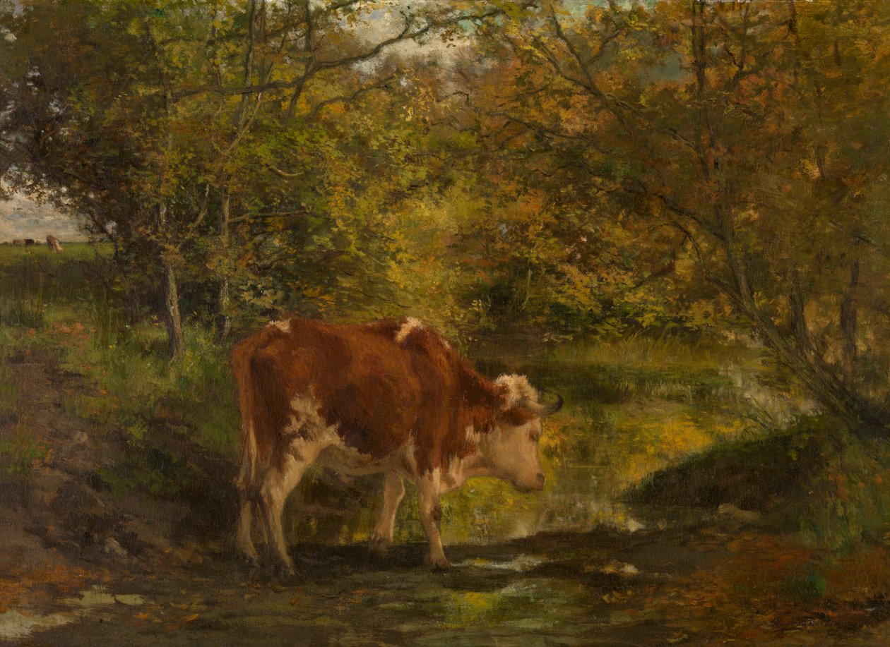 Une vache près du fossé - Hippolyte Boulenger