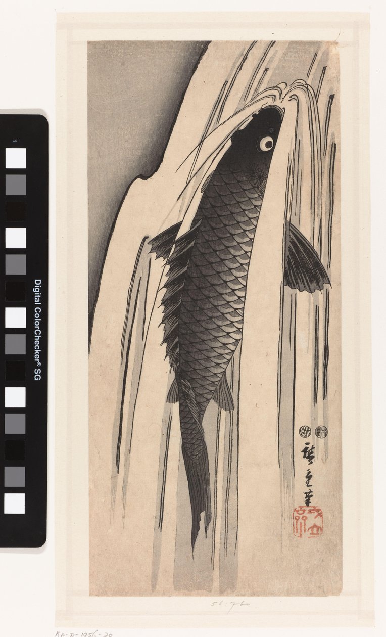 Carpe nageant contre une cascade - Hiroshige (I) , Utagawa