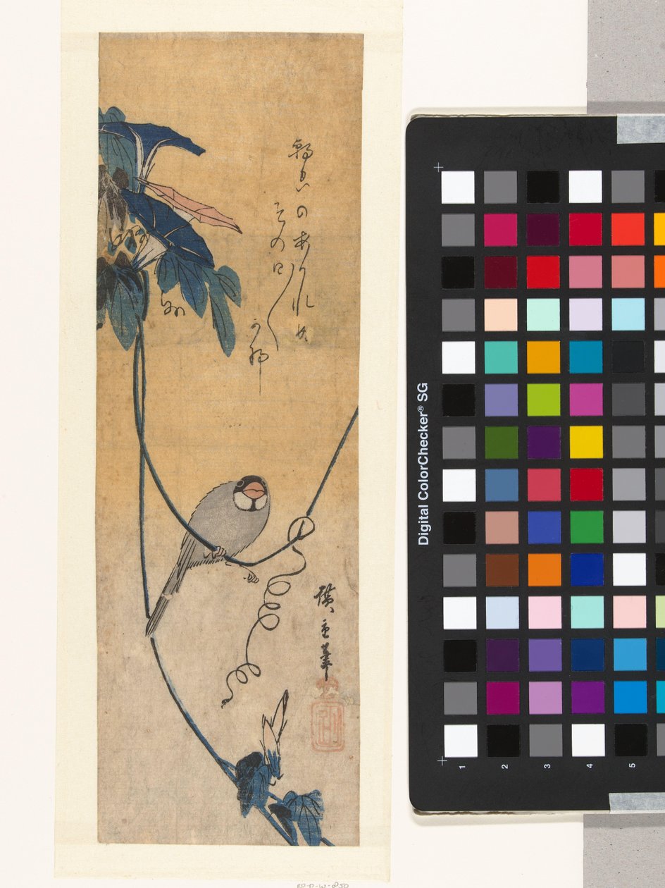 Oiseau et liseron bleu - Hiroshige (I) , Utagawa