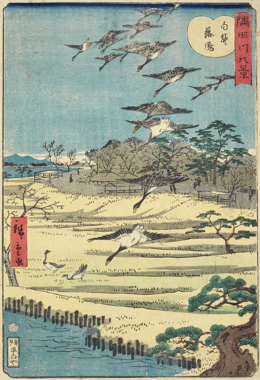 Oies rentrant à Shirahige, novembre 1861 - Hiroshige II