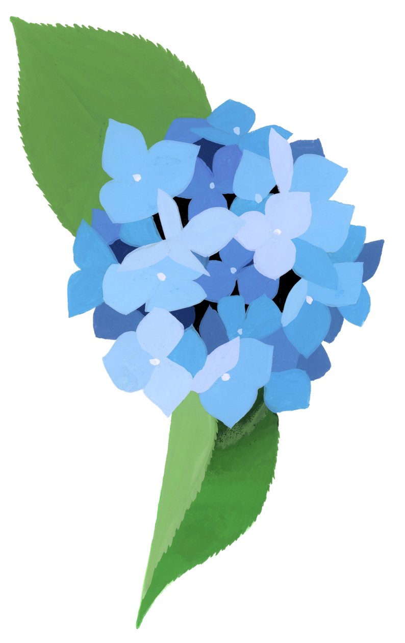 Hortensia - Hiroyuki Izutsu